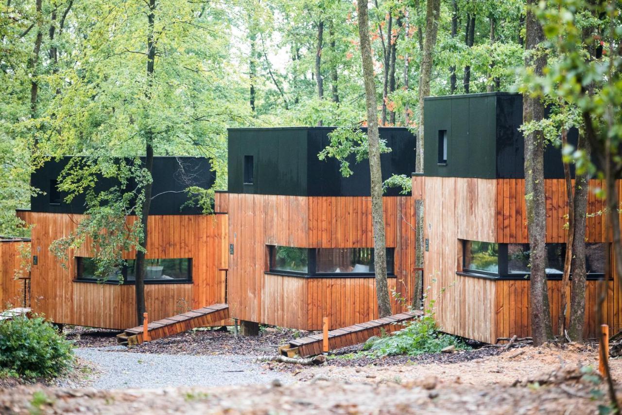 Forest Cube Oignies Kültér fotó