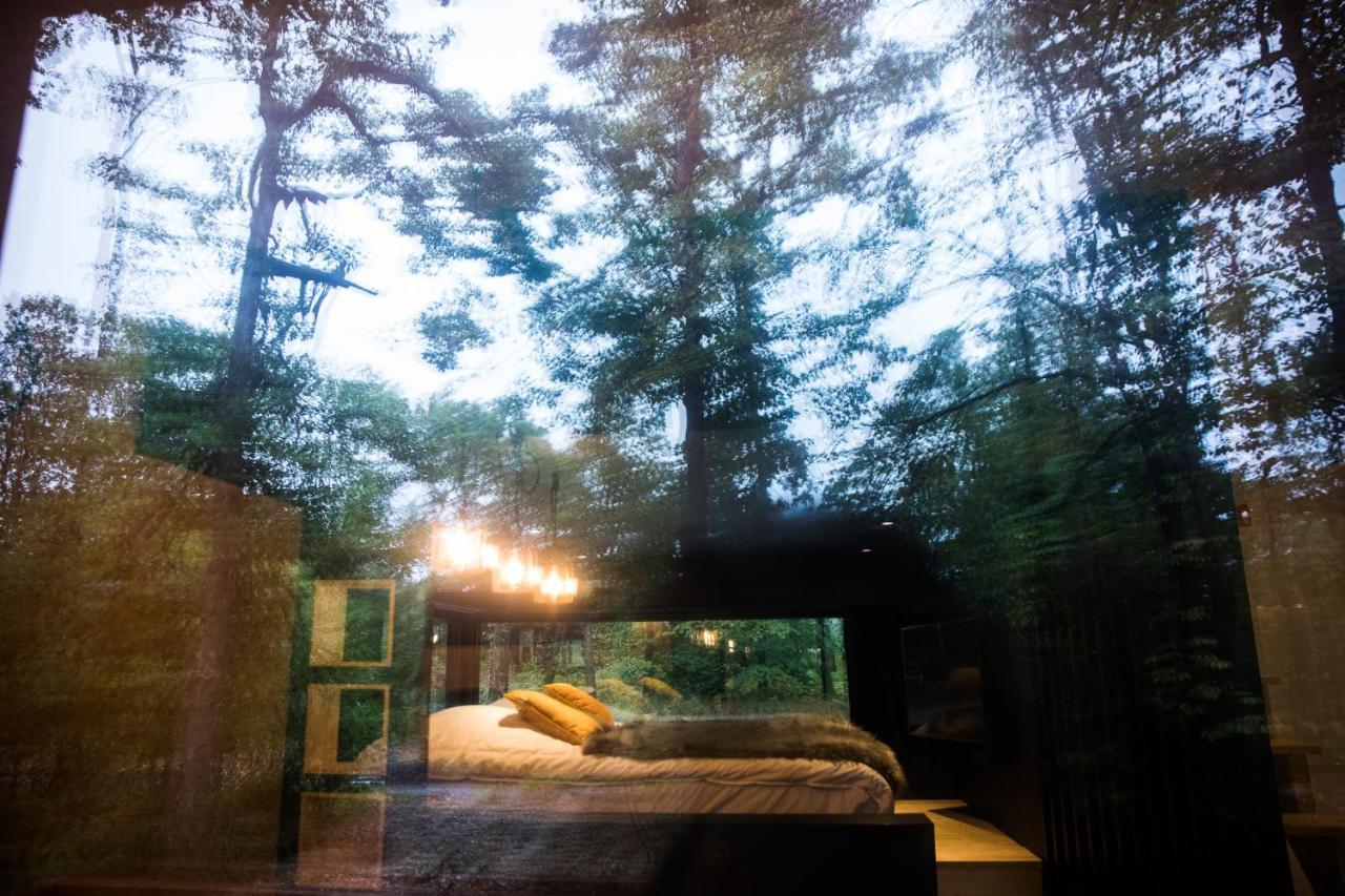 Forest Cube Oignies Kültér fotó