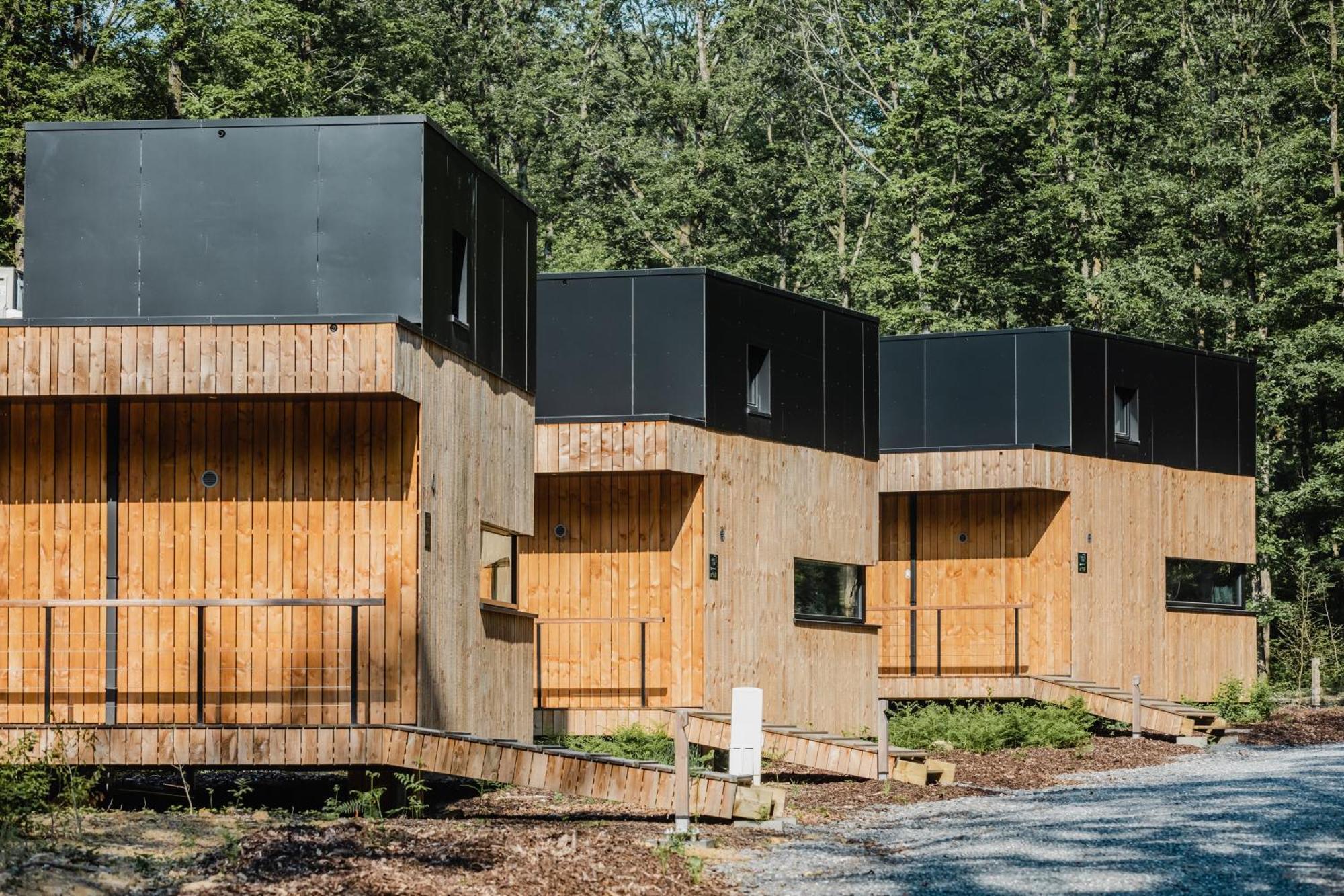 Forest Cube Oignies Kültér fotó